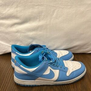 Baby Blue Nike Dunks